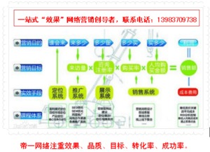 帝一網(wǎng)絡(luò) 專業(yè)網(wǎng)頁設(shè)計與網(wǎng)站建設(shè)公司的卓越之選